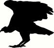 Bird (9) vinyl decal